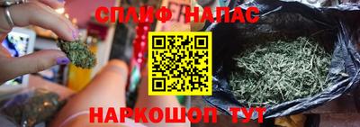 a pvp Кандалакша