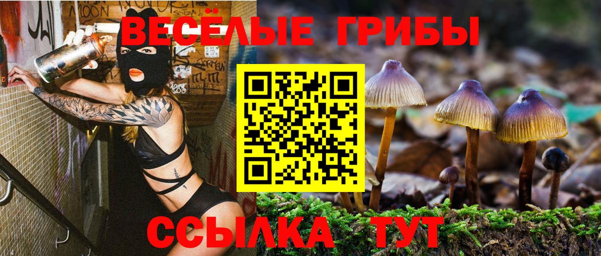 Галлюциногенные грибы MAGIC MUSHROOMS  магазин    Вход с VPN  Кудымкар  Псилоцибиновые грибы ЛСД 