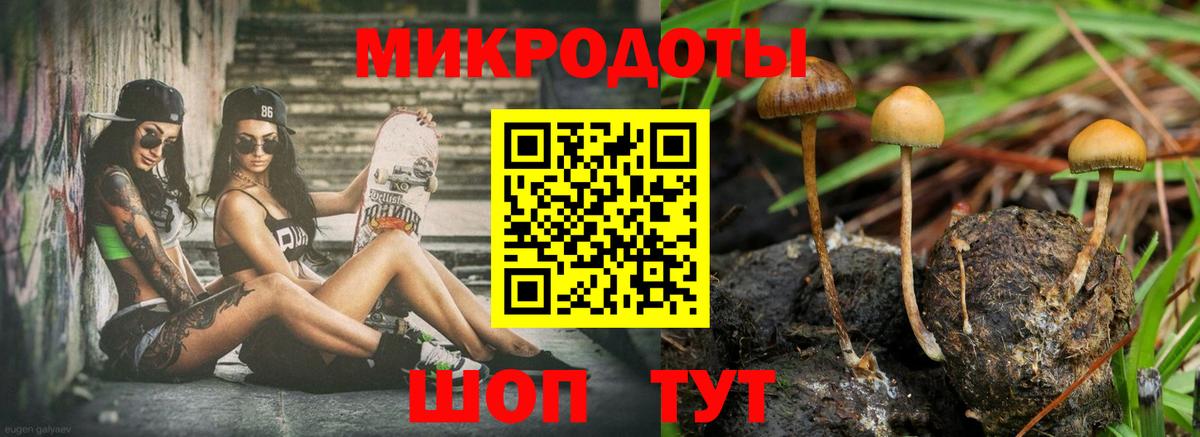 Галлюциногенные грибы Magic Shrooms Кудымкар